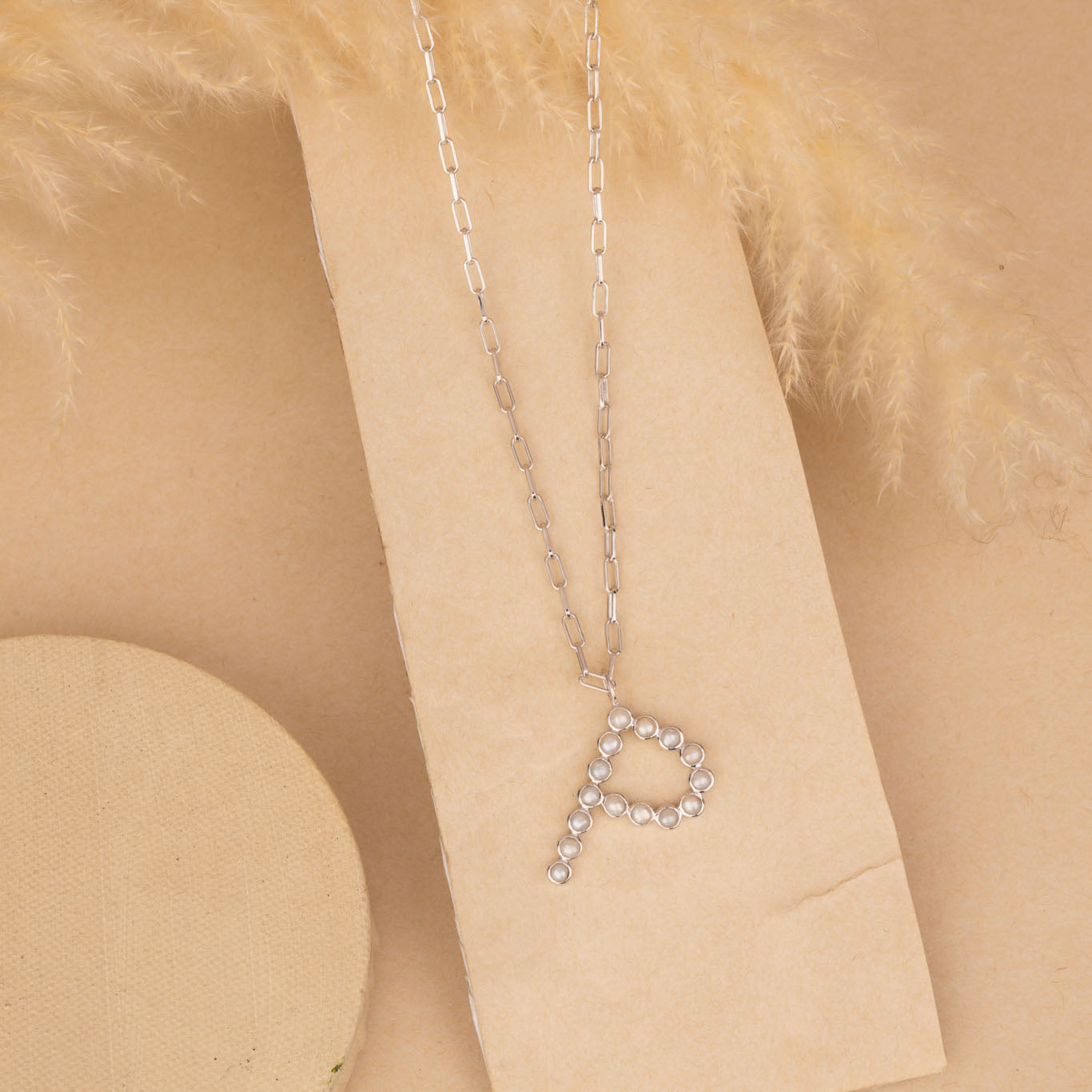 Silver Letter P Neck Chain