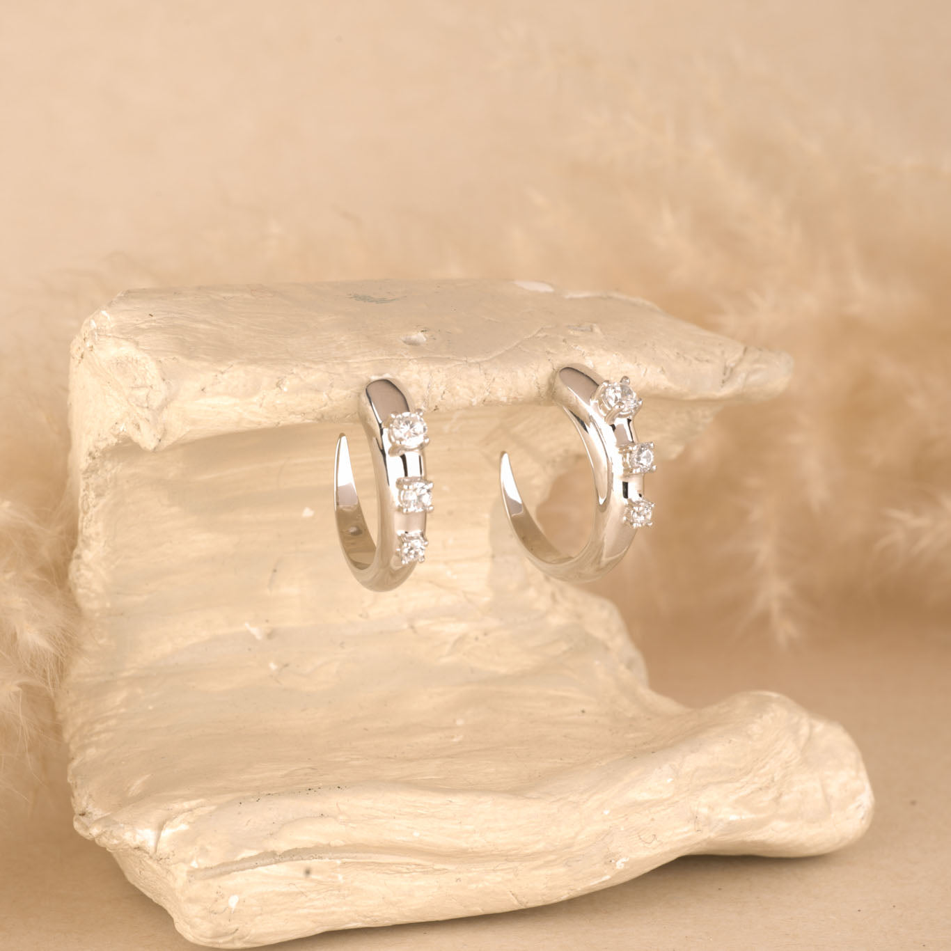 Silver Hoops