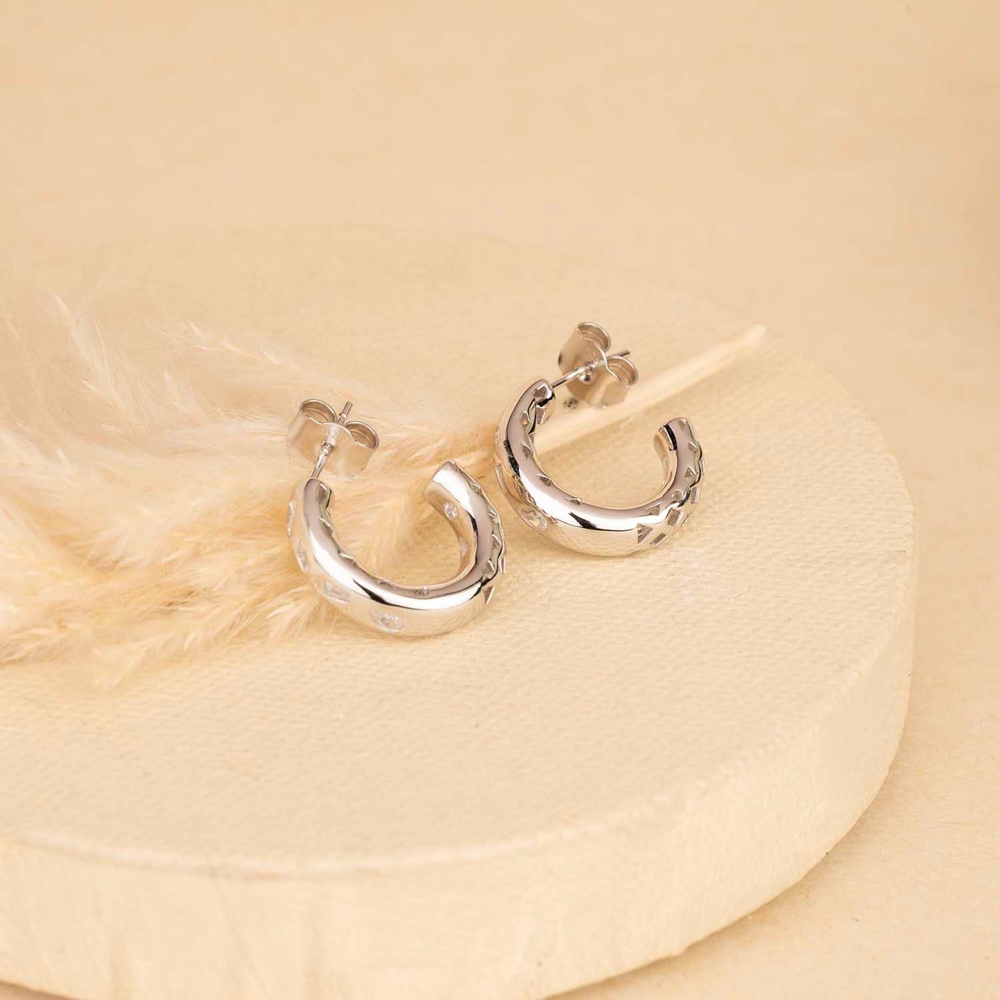 Silver Hoops
