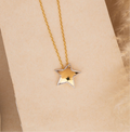 Golden Star Neck chain