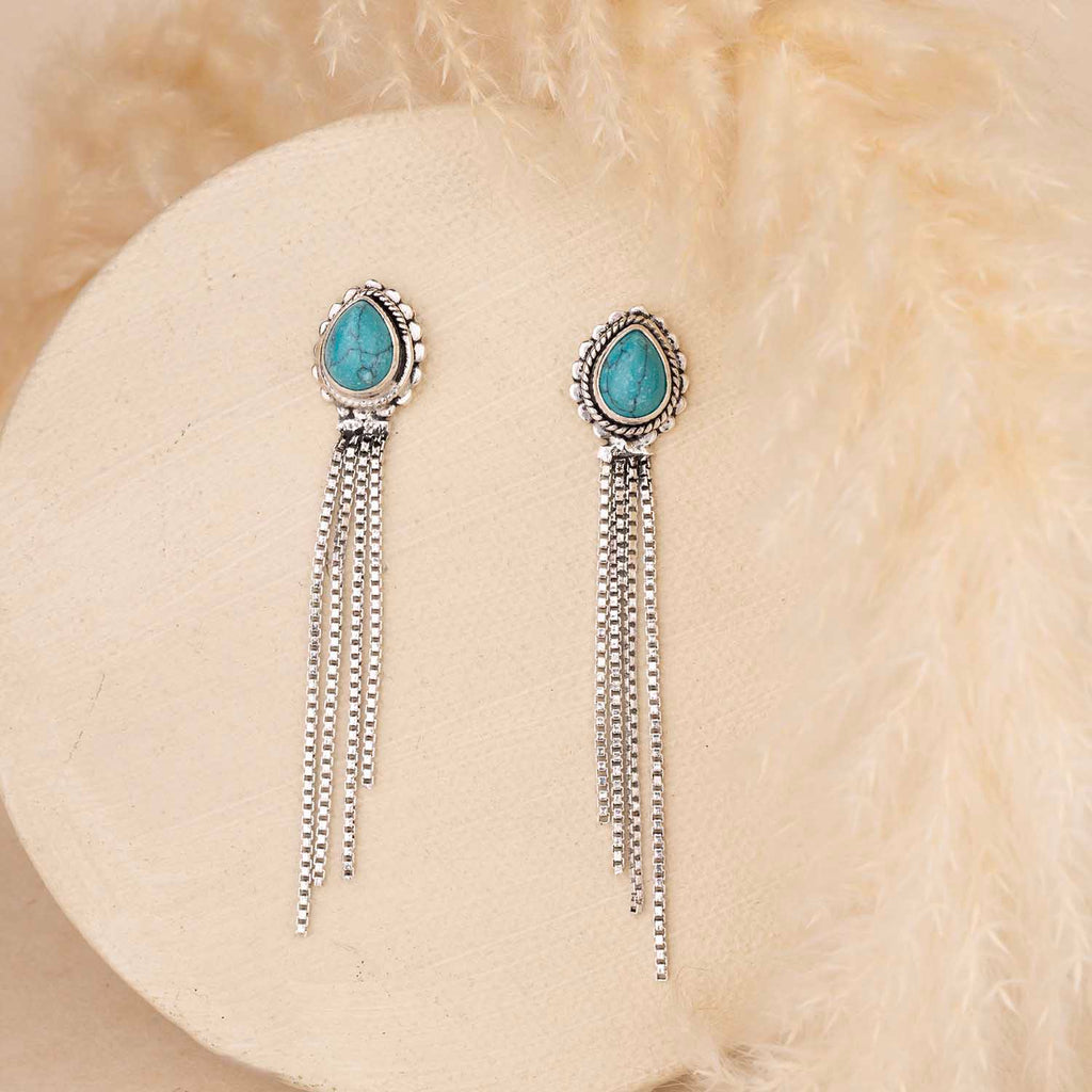 Dangling Silver Earrings