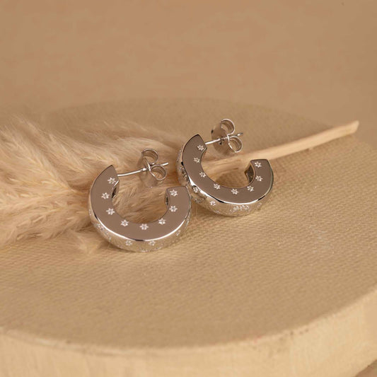 Silver Gold Hoops