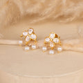 Polki Kundan Earrings