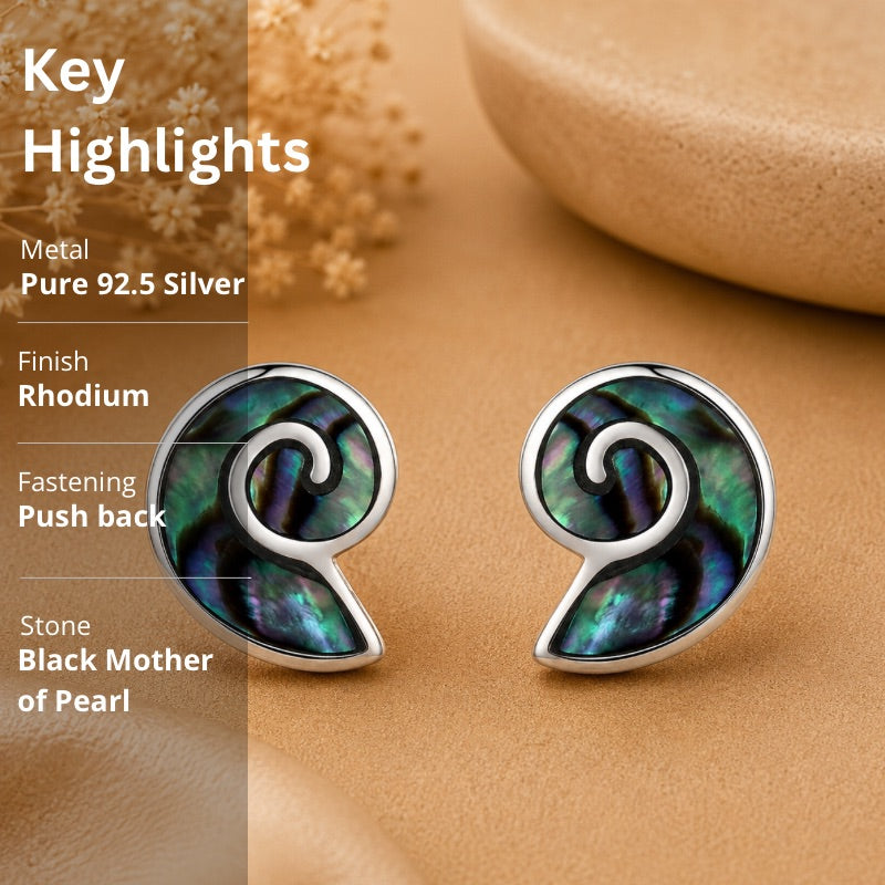 Abalone Shell Nautilus Stud Earrings in 925 Sterling Silver